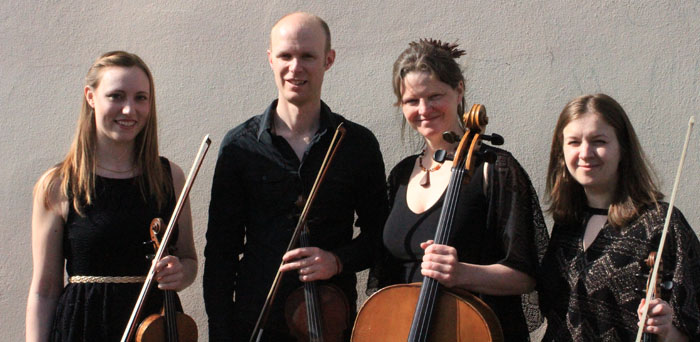 Bristol Ceilidh Quartet Wedding Barn Dance Ceilidh Band